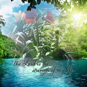 Meet your Posher, Rosanne